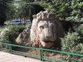 Ifrane's Stone Lion