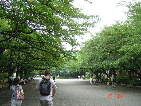 Anthony and guide in Ueno Park, Tokyo under the cherry trees