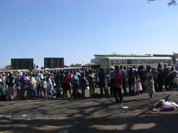 People wait for the buses