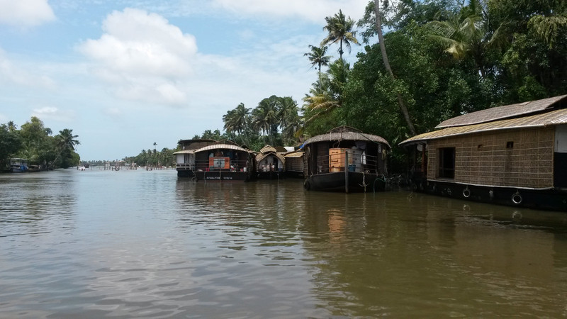 Alleppey backwaters cruise