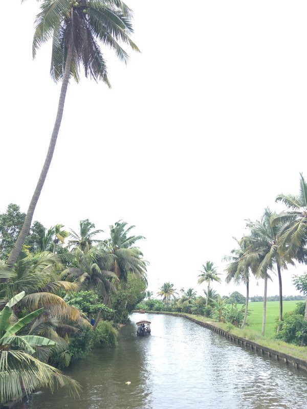 Alleppey backwaters cruise