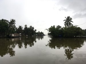 Alleppey - morning view from the boat