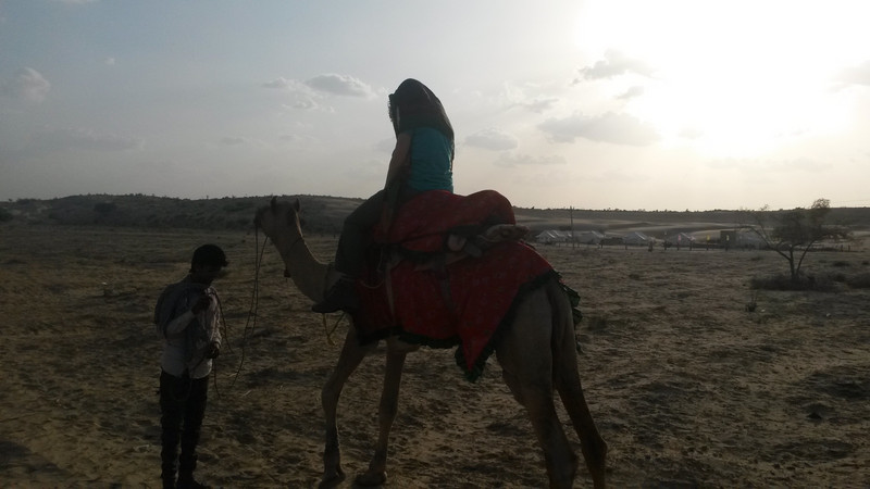 My camel