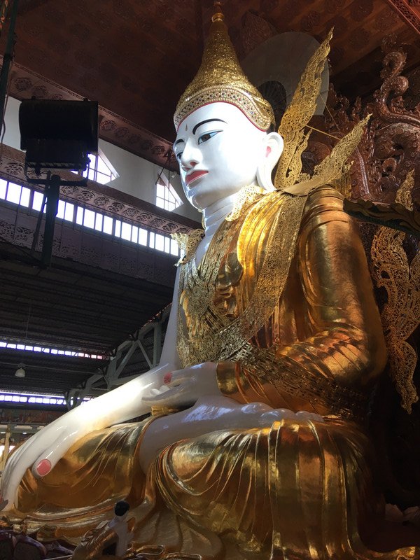 The sitting Buddha 