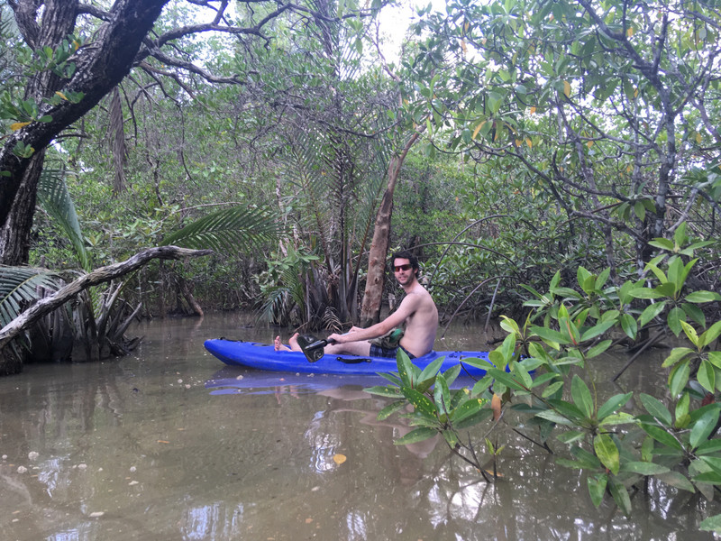 Stephen in the mangroves 