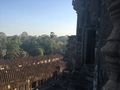 Angkor Wat - view from the top