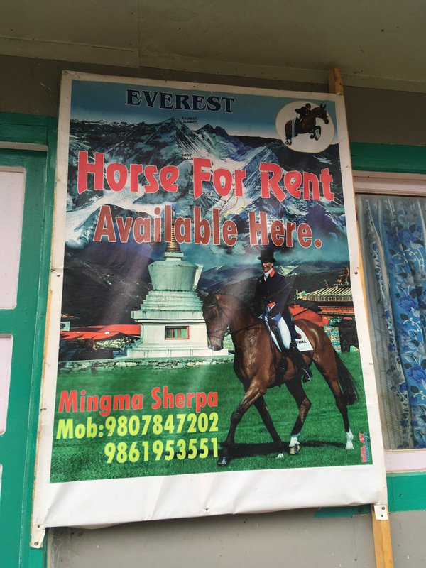 Apparently Mary King (GB eventer) hires out horses in the Everest region....