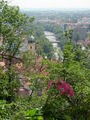 View from Castle Restaurant