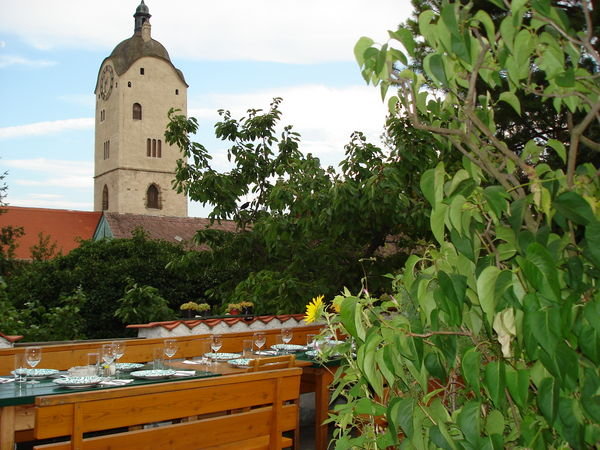 View from Heurigen (wine restaurant)