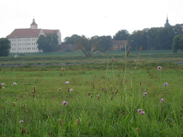 Fields along Elbe River 