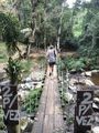Loco do Tarzan - Wobbly Bridge 