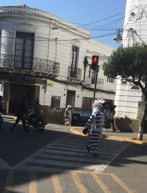 zebras crossing