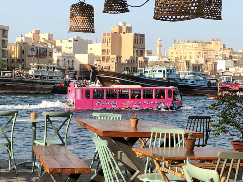 pink bus on the river- and why not!