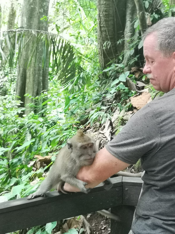 Macaque on my arm