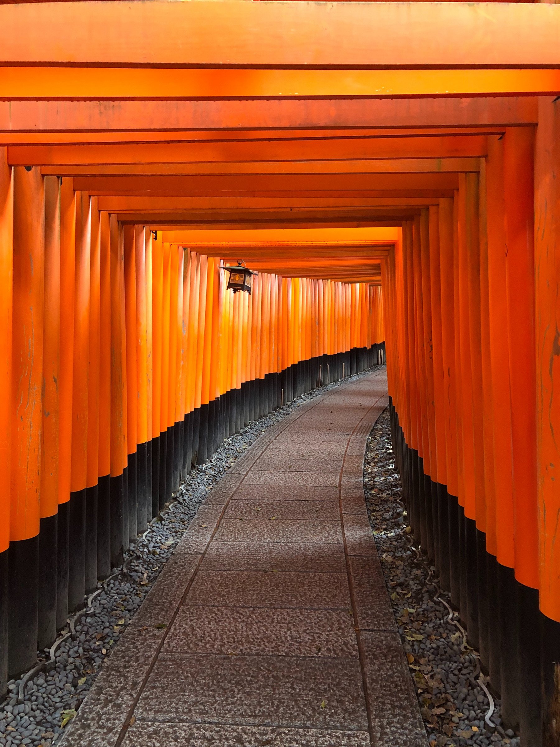 senbon-torii-photo