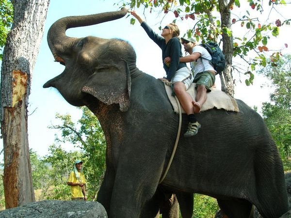Marie et Dan qui font de l'elephant