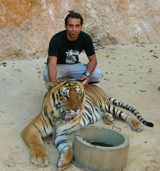 Dan dans la cage des tigres 