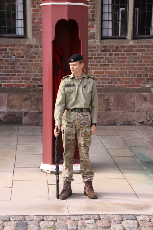 Guard at attention - Rosenborg Castle