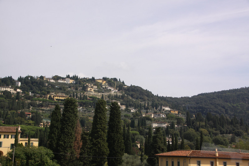 Hillside from downtown Florence