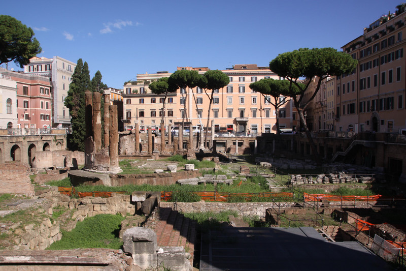 Wider perspective of the Largo di Torre Argentina ruins