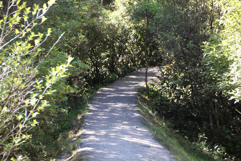 Path to Maruia Falls
