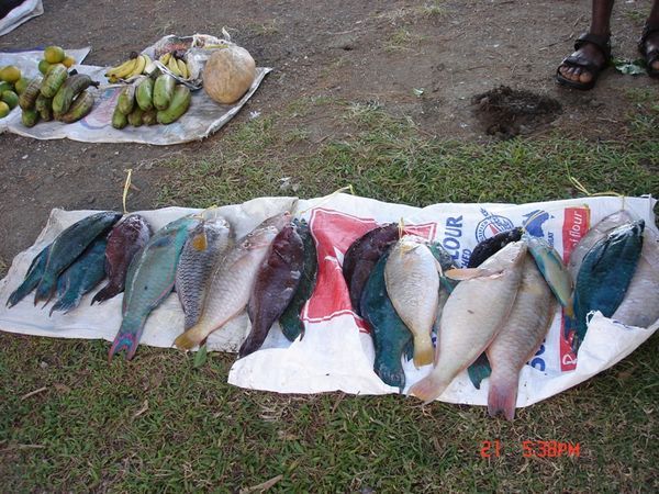 Fish Market in Levuka