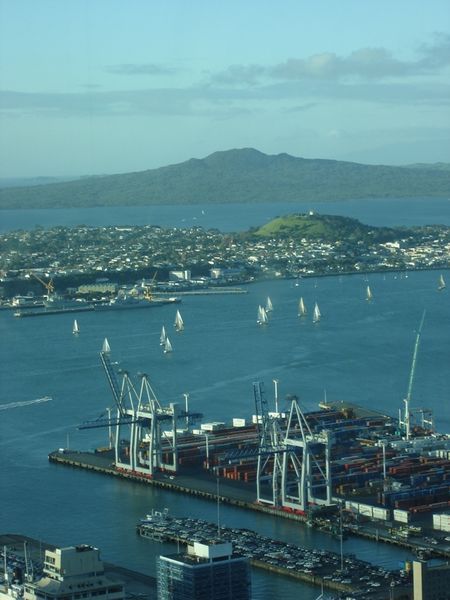 Sailboats in the harbor and Rangitoto in the background