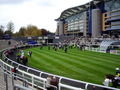Ascot and the parade ring