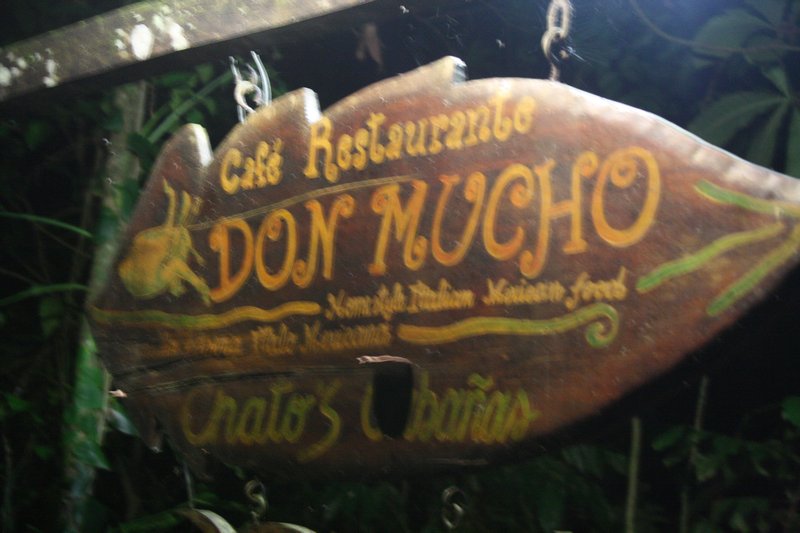 Don Mucho's for dinner