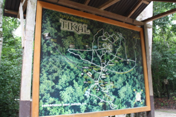 Map of Tikal showing it´s size - huge!