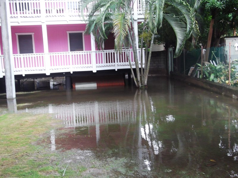 Our hotel yard flooded