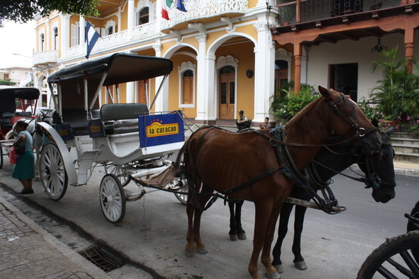 Granada - horse and cart