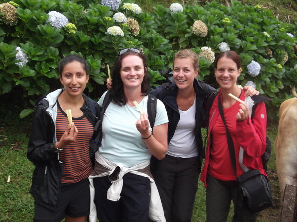 Sampling sugar cane - Harveen, Lisa, Birgit and I 