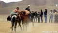 Horse Wrestling In Murghab