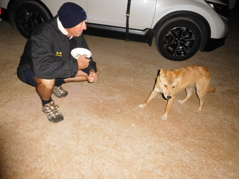 Chris and the fearsome dingo