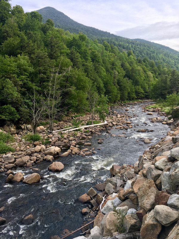 Weat branch of the Ausable River.