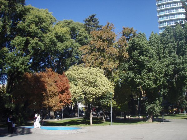 Fall in Mendoza