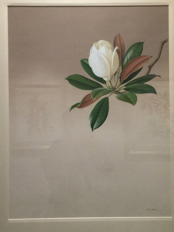 Botanical watercolor by Masumi Yamanaka