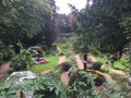 Norwich Plantation Gardens 