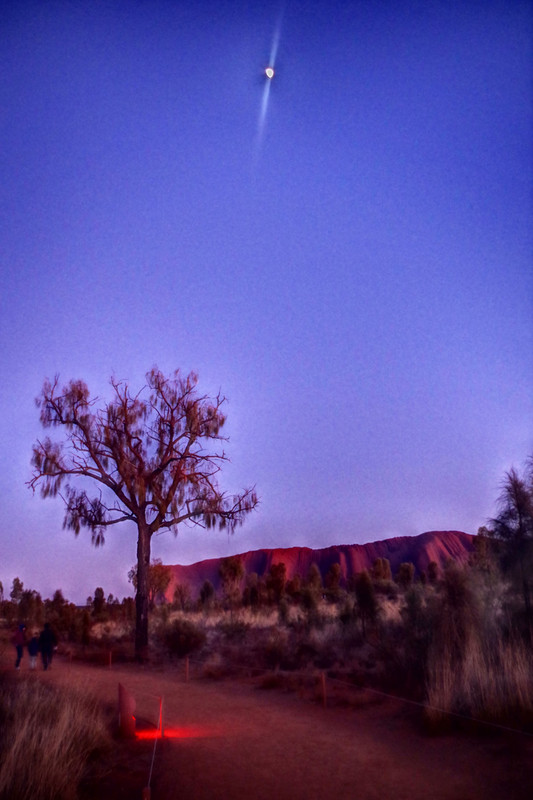 Good morning Uluru...