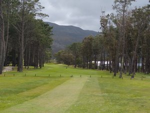 Hermanus golf course