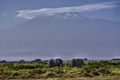 Amboseli and the Kilimanjaro...