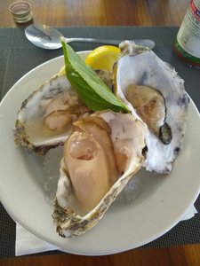 ...and more oysters...
