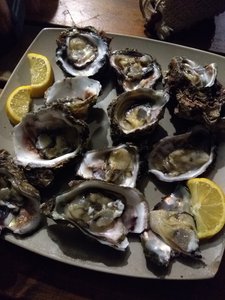 local oysters...