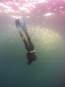 Free diving...but not for me...