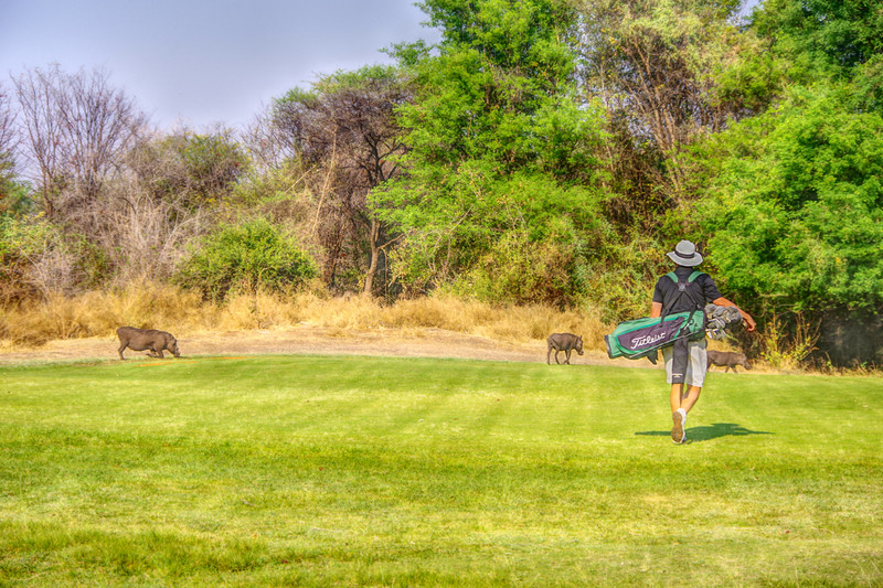 Playing golf in Kasane....with the locals!!!