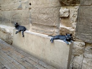 Egyptian cats...