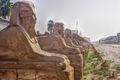 The Sphinxes between Karnak and Luxor temples...