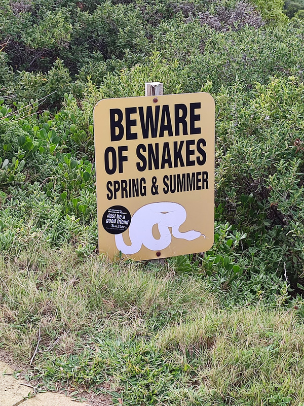 Serious...even if we are entering the end of the snake season...