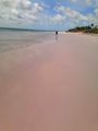 if the picture is taking through the sunglasses lens, the sand is truly pink...